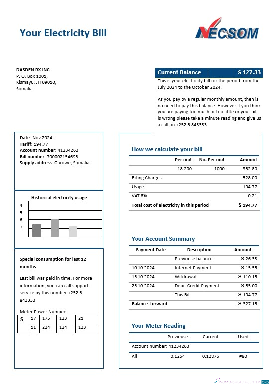 Somalia NESCOM Company electricity business utility bill template in Word and PDF formats